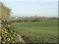 2008 : Toward Biss Bottom near Upton Scudamore