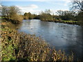 River Wharfe below Pool Bridge