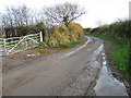 Lane from Lyne Down to Kempley