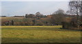 Field at the edge of Washbrook village