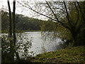 The River Trent at the end of Boat Lane Bleasby