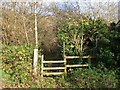 Footpath stile, Wrington