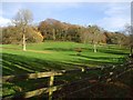 Pasture and woodland beside the drive to Barley Wood, Wrington