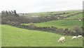 View SE across grazing land towards Penseri Farm