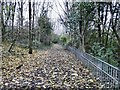 Footpath from Godley