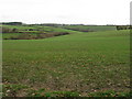 Pound Farm from near Upper Hamnish