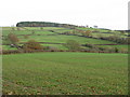 Valley of the Whyle Brook