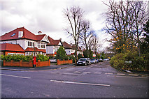 TQ3894 : Parkhill Road, Chingford, London E4 by Christine Matthews
