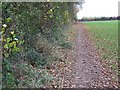 Footpath towards Whiteparish