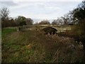 Bridge over the River Crane leading to Cranford Park