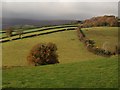 Countryside at Shuttaford