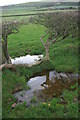 Across the fields near Ashey