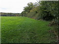 Footpath to Arrewig Lane