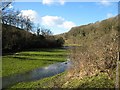 Flooded River Frome