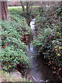 Brook flowing downstream