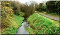 Disused canal near Newry (2)