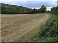 Field by Ellesborough Road