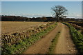 Farm road, Oaklands Farm, near Stonesfield