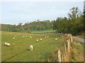 SU7786 : Pastures, Hambleden by Andrew Smith
