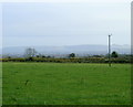 2008 : Pasture near Housecroft Farm again