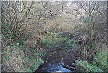 TQ5937 : The border stream by N Chadwick