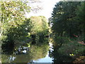 The Basingstoke Canal east of Woodham Lock No. 3