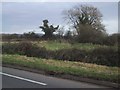 Roadside Fields by the A38 near Cambridge