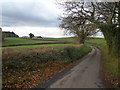 Old Dawlish Road, near Powderham plantation.