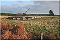 Storage Shelters Sheep