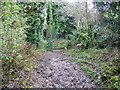 Bridleway, Hanging Langford