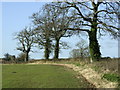 2008 : Field near Killings Knap Farm