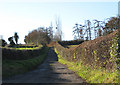 Pot-holed road to Burghill