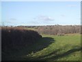 Field Boundary east of Paccombe Hill