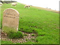 Directions above Corfe Castle