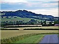 Edge Hill from Burton Hill Farm