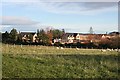 New Houses near Greens of Coxton