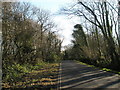 Mid section of the road from Atherington to Climping