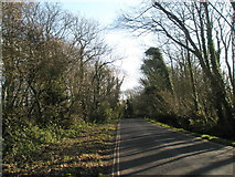 TQ0001 : Mid section of the road from Atherington to Climping by Basher Eyre
