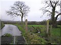 Drumbinnis Townland