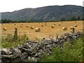 Farmland near Dores