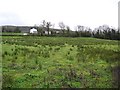 Corrardreen Townland