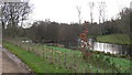 Island on the River Wey near Passfield Manor