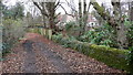 Bridleway bridge near Bramshott Court