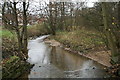 Borsdane Brook, in the Danes Valley