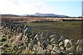 Mossfield and Bennachie