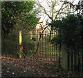 Ornate entrance gate