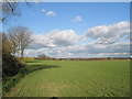 Looking northwards towards Brookpits from the footpath to Ryebank Rife