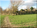 Looking back to isolated houses on footpath to Kent