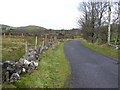 H0934 : Road at Clyhannagh by Kenneth  Allen