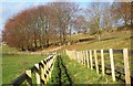 Footpath, Hurstbourne Tarrant